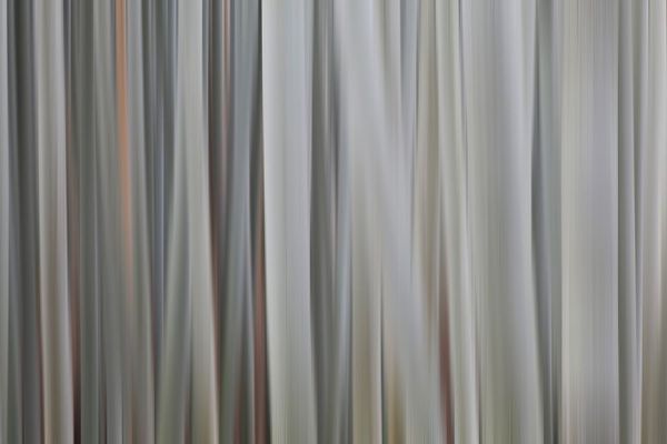 Jaynes Gallery 아티스트의 Japan-Kyoto Abstract blur of bamboo stalks작품입니다.